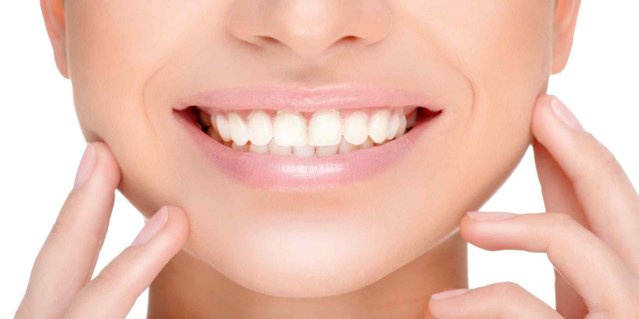 Zubi: Nazivi, vrste i funkcije